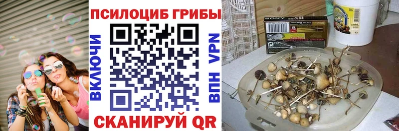 Галлюциногенные грибы GOLDEN TEACHER omg зеркало Дубовка